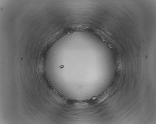 X0000077400515200611101823