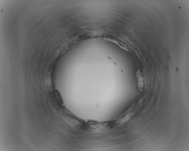 X0000077400516200611101823