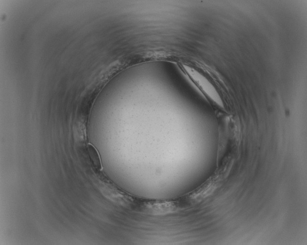 X0000077400517200611101823