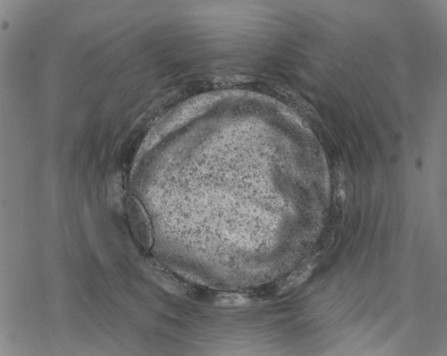 X0000077400519200611101823