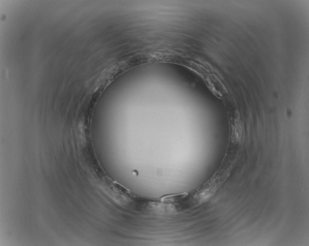 X0000077400520200611101823