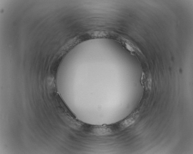 X0000077400521200611101823