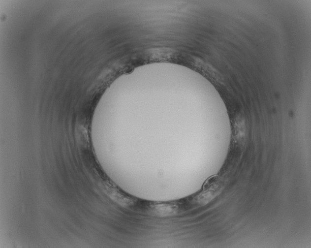 X0000077400522200611101823