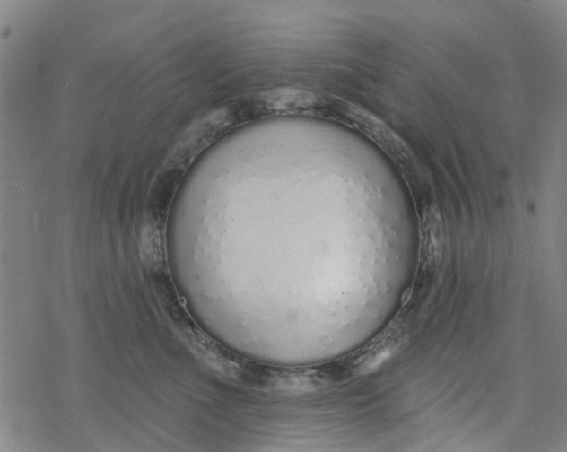 X0000077400523200611101823