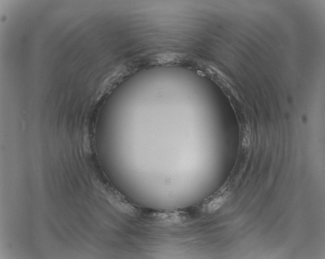 X0000077400524200611101823