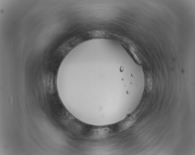 X0000077400525200611101823