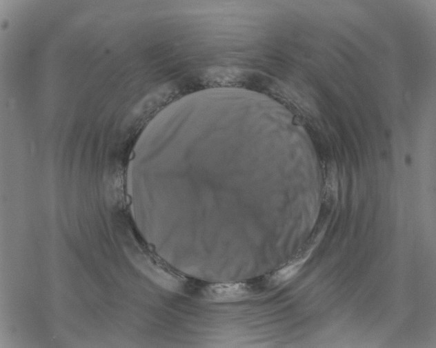 X0000077400526200611101823