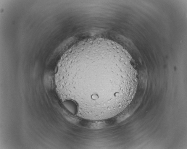 X0000077400527200611101823