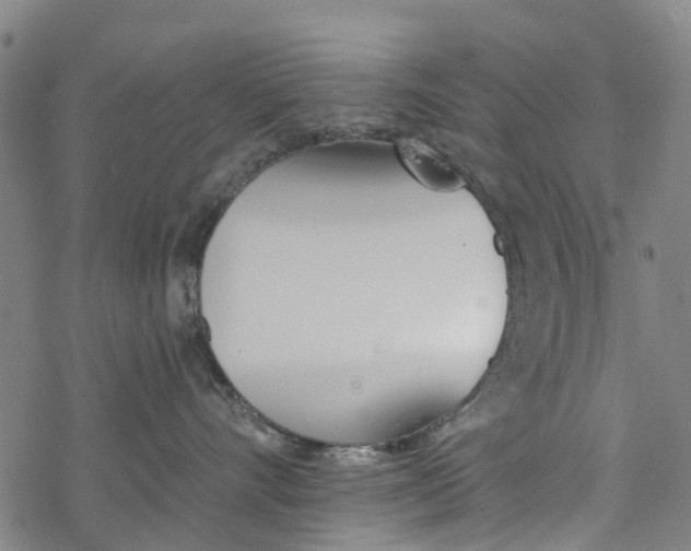 X0000077400528200611101823