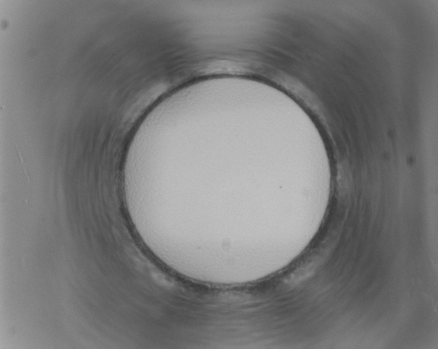 X0000077400529200611101822