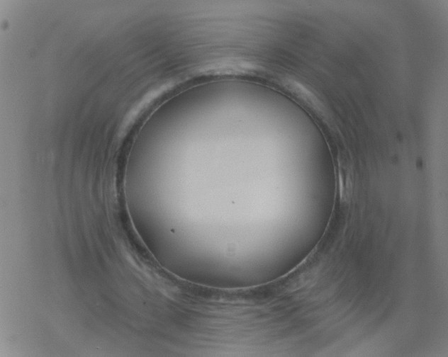 X0000077400531200611101822