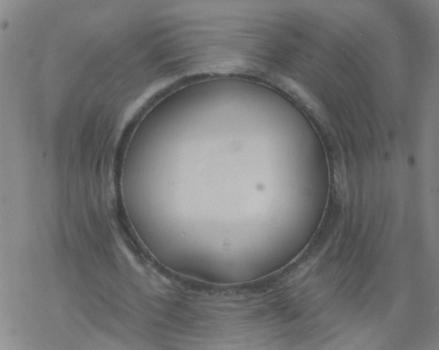 X0000077400532200611101822