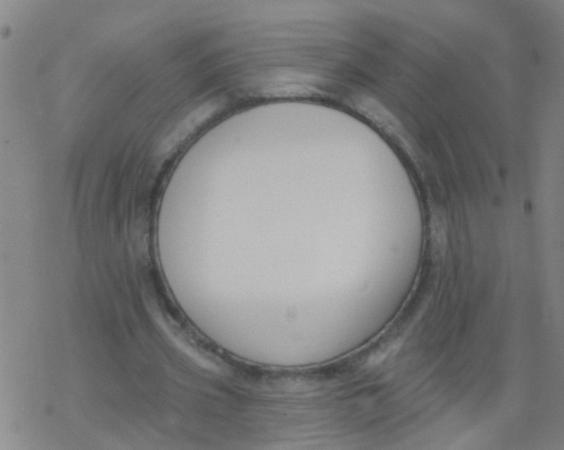 X0000077400533200611101822