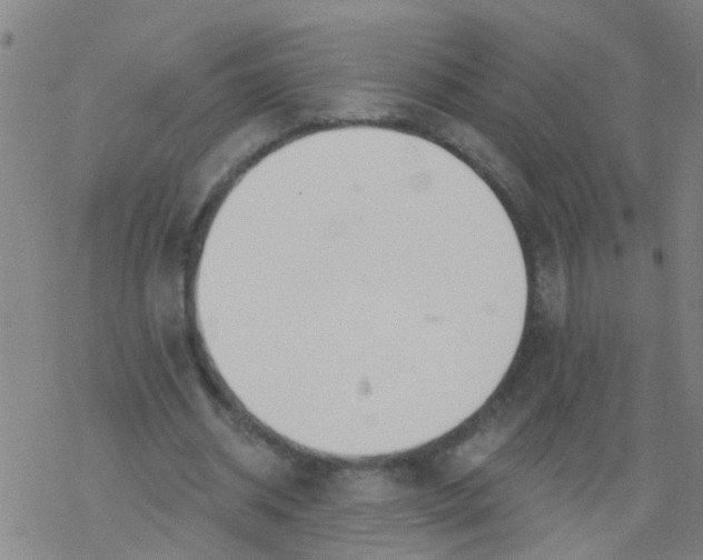 X0000077400534200611101822