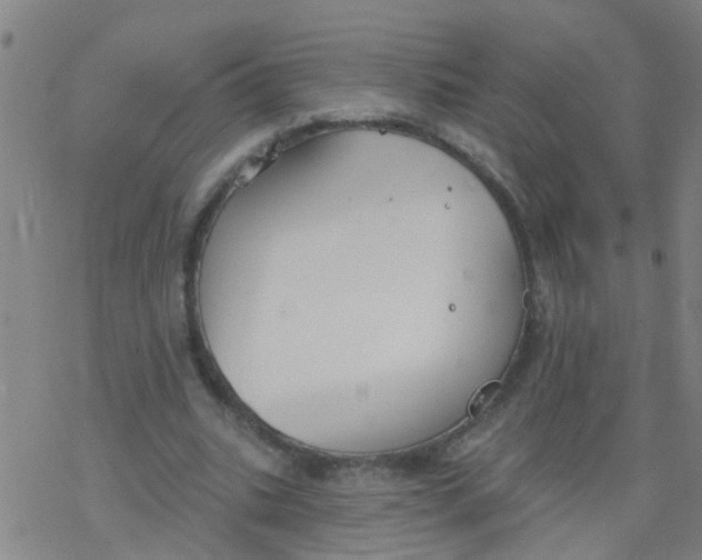 X0000077400535200611101822