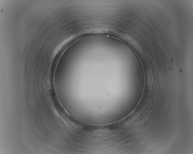 X0000077400536200611101822