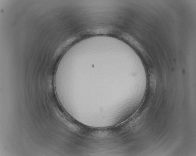 X0000077400537200611101822