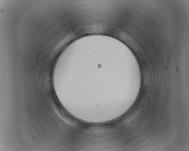 X0000077400538200611101822