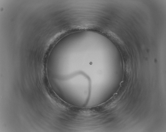 X0000077400540200611101822