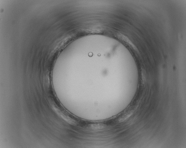 X0000077400541200611101822