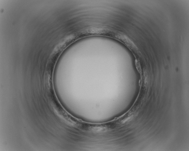 X0000077400542200611101822