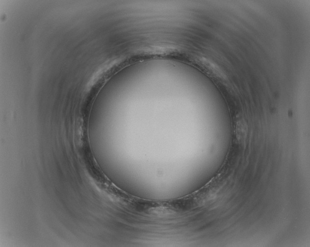 X0000077400544200611101822