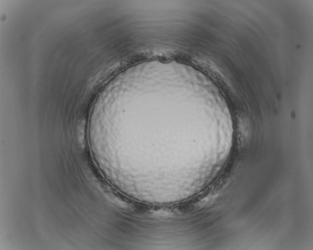 X0000077400545200611101823