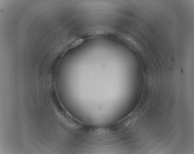 X0000077400546200611101823