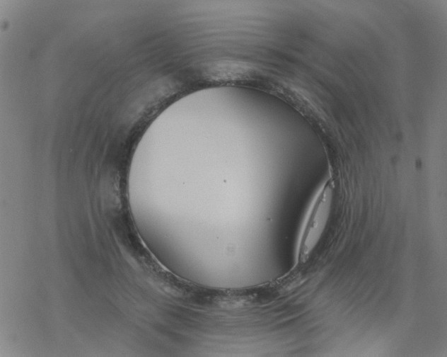 X0000077400547200611101823