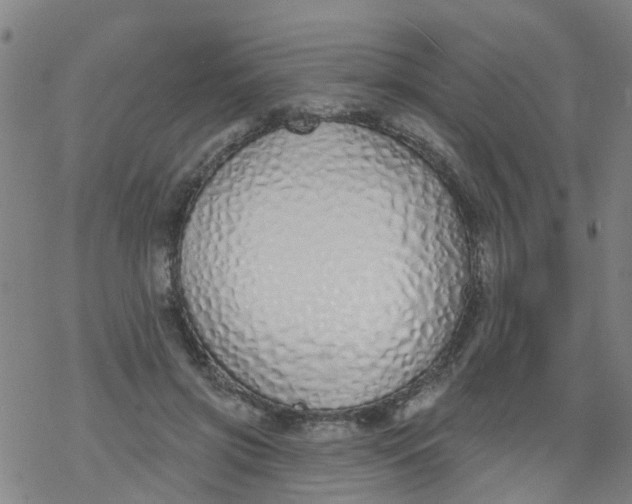 X0000077400549200611101823