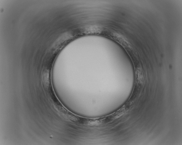 X0000077400550200611101823