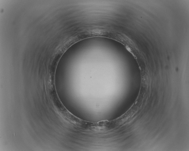 X0000077400552200611101823