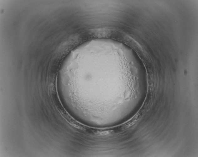 X0000077400553200611101823