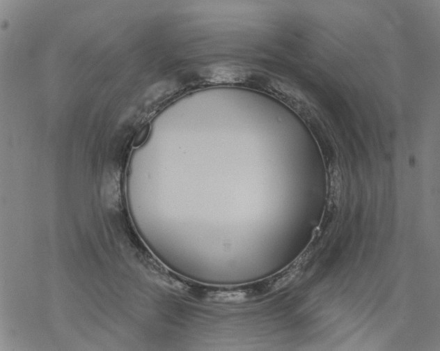 X0000077400554200611101823