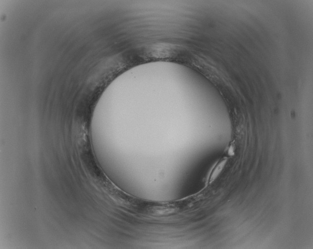 X0000077400555200611101823