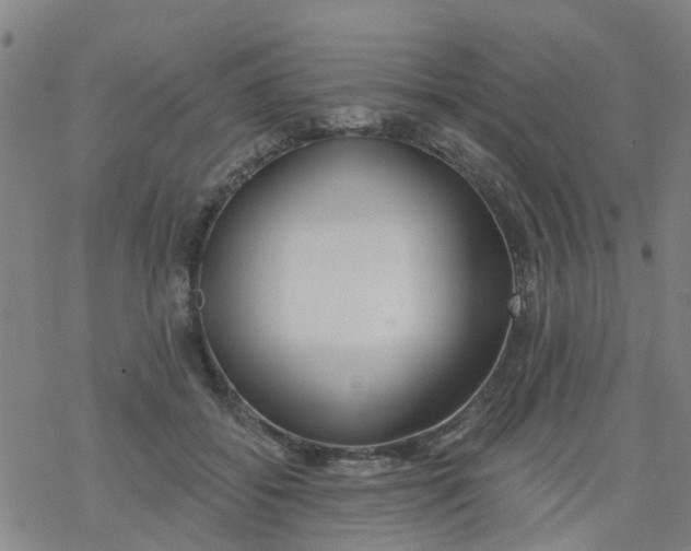 X0000077400556200611101823