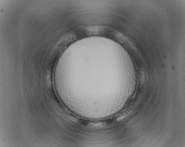 X0000077400557200611101823