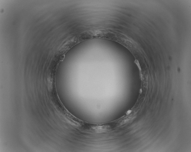 X0000077400558200611101823