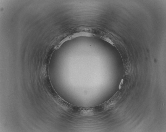 X0000077400560200611101823