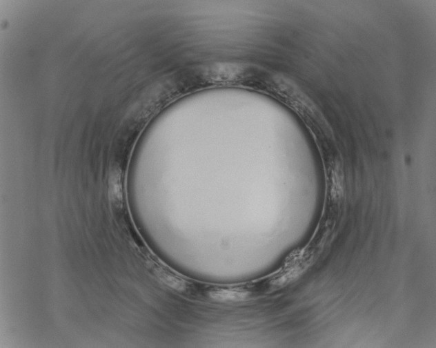 X0000077400561200611101823