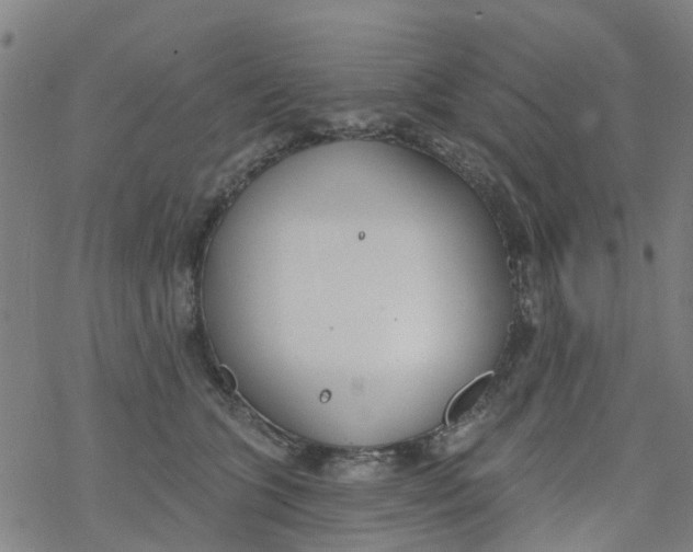 X0000077400563200611101823