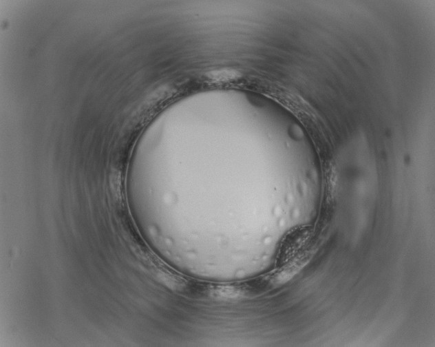 X0000077400565200611101823