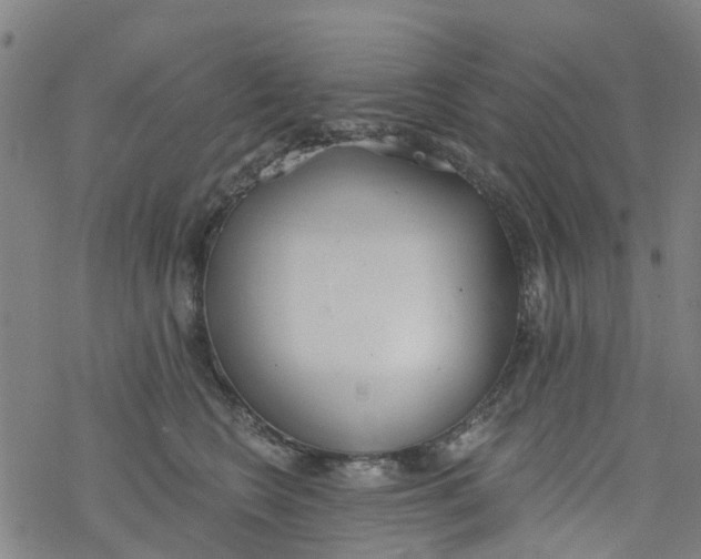 X0000077400566200611101823