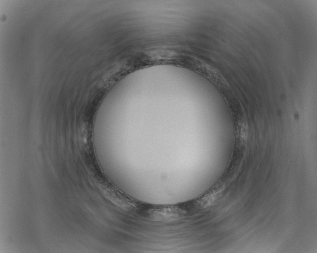 X0000077400567200611101823