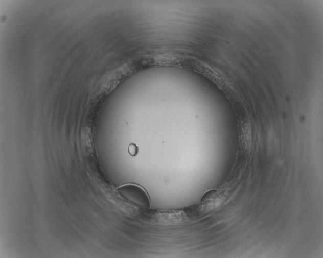 X0000077400571200611101823