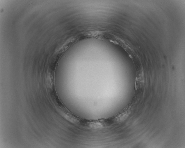 X0000077400572200611101823