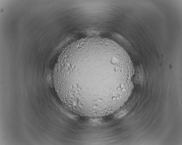 X0000077400573200611101823