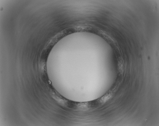 X0000077400574200611101823