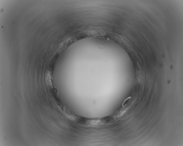 X0000077400575200611101823