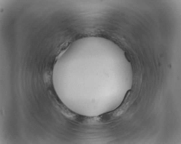 X0000077400576200611101823